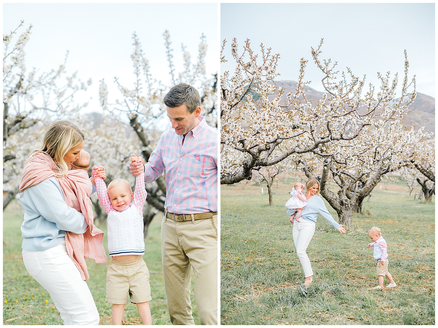 Utah Cherry Blossom Family Photography