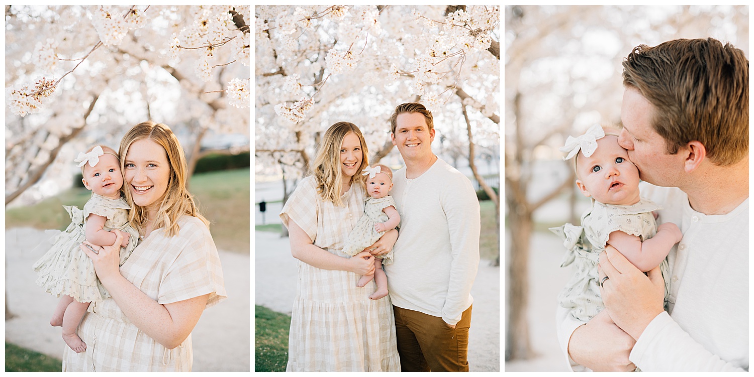 Utah Capitol Cherry Blossoms | Family and Senior Pictures 