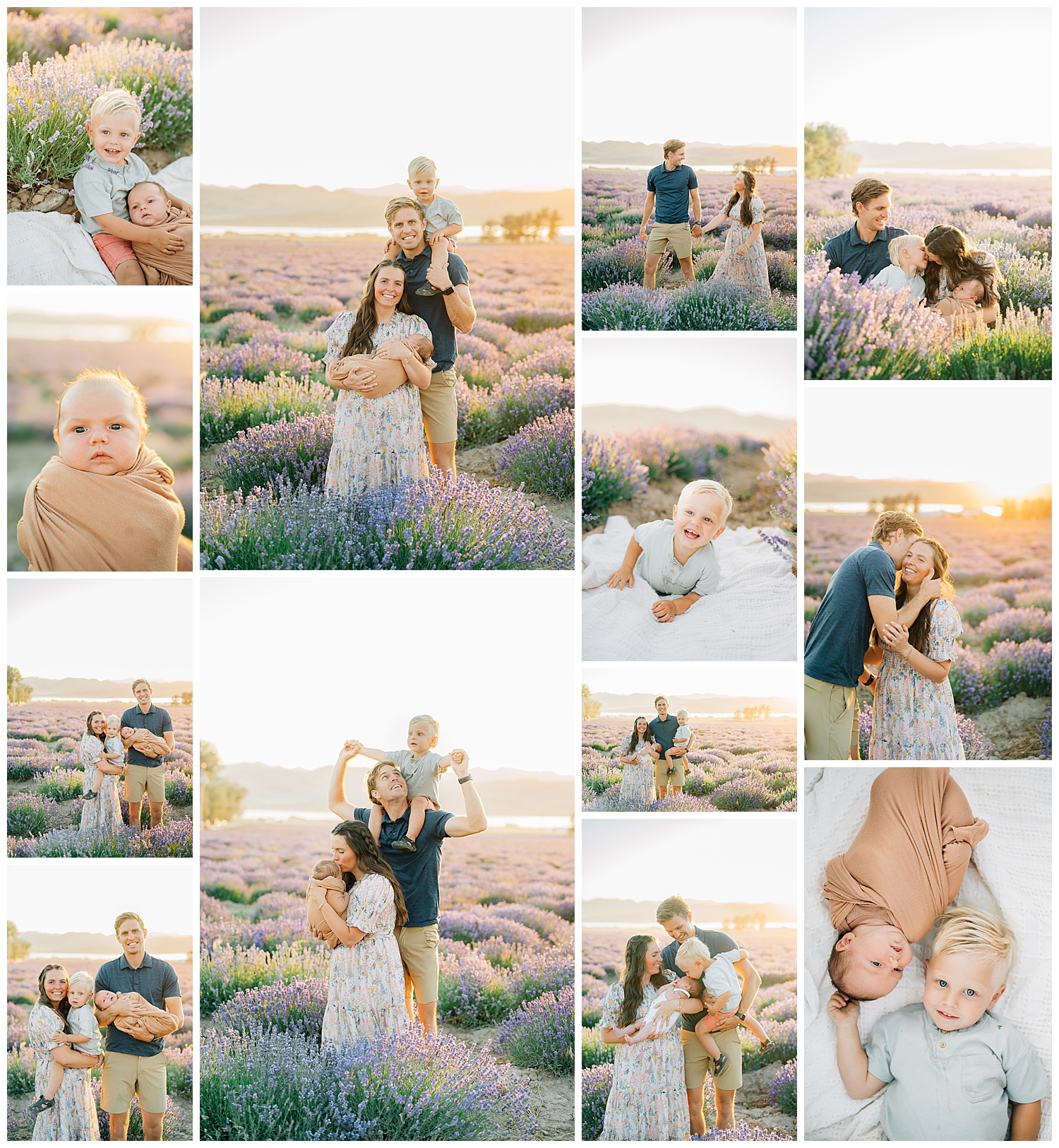 A collage of family pictures at Mona Lavender fields. 