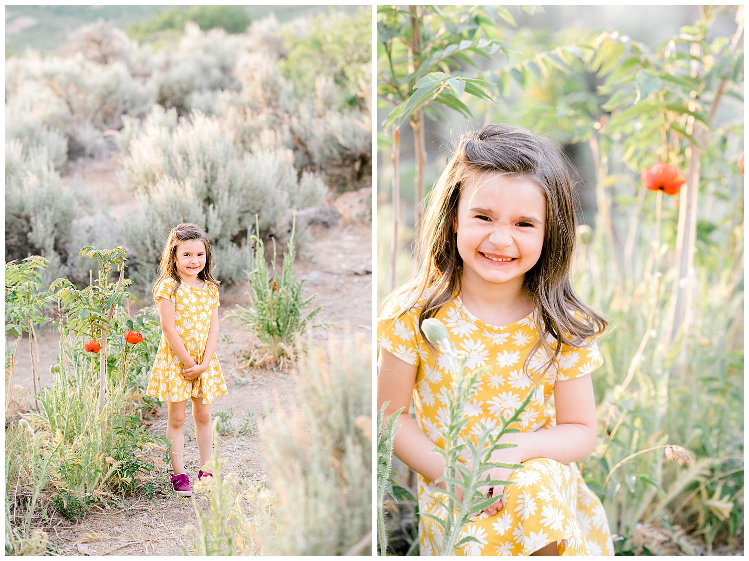 Alpine Poppy Field | Utah Family Photographer